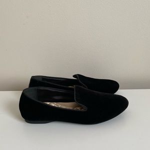 Birdies Black Velvet Starling